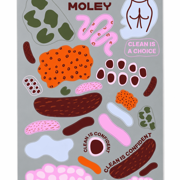 Moley Bidet A4 Sticker Sheet